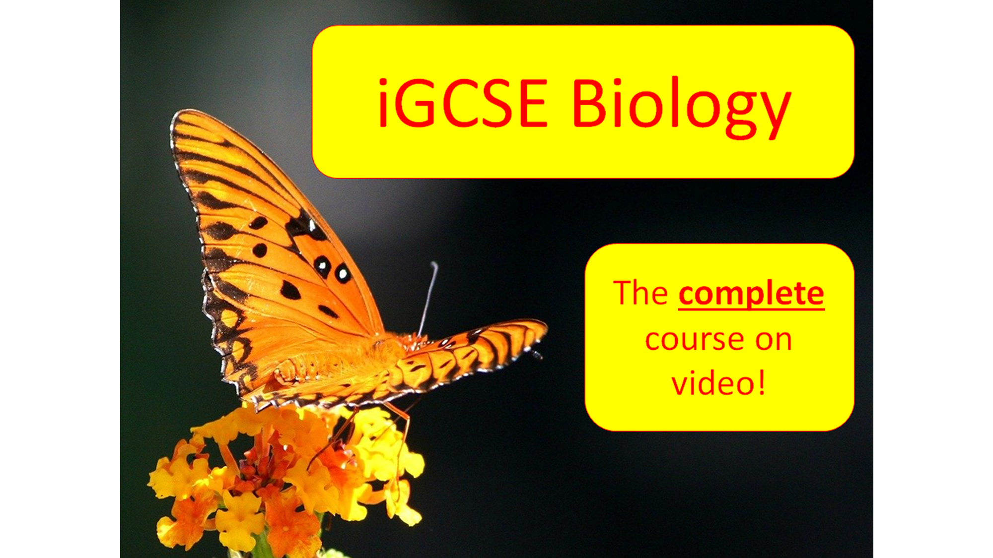 Igcse biology complete course educ8all